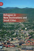 Refugees in New Destinations and Small Cities: Resettlement in Vermont by Pablo S. Bose