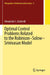 Optimal Control Problems Related to the Robinson–Solow–Srinivasan Model by Alexander J. Zaslavski