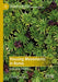 Housing Movements in Rome: Resistance and Class by Carlotta Caciagli