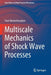 Multiscale Mechanics of Shock Wave Processes by Yurii Meshcheryakov