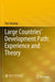 Large Countries' Development Path: Experience and Theory by Yao Ouyang