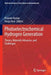 Photoelectrochemical Hydrogen Generation: Theory, Materials Advances, and Challenges by Praveen Kumar