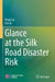Glance at the Silk Road Disaster Risk by Peng Cui