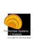 The Number Systems of Analysis by Charles Little, Bruce Van-Brunt, Kee L. Teo