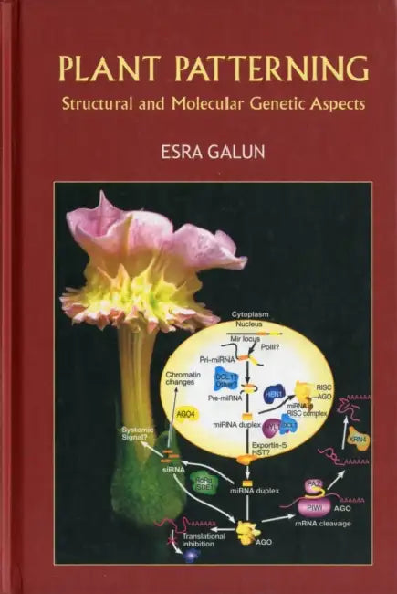 Plant Patterning: Structural and Molecular Genetic Aspects by Esra Galun