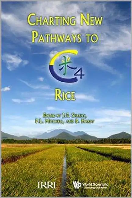 Charting New Pathways To C4 Rice by Sheehy John E., Others