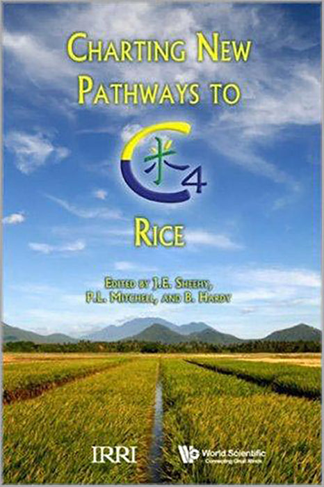 Charting New Pathways To C4 Rice