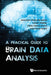A Practical Guide to Brain Data Analysis by Joao Paulo Vieito, Armando Freitas Da Rocha, Carlos Thomaz