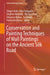 Conservation and Painting Techniques of Wall Paintings on the Ancient Silk Road by Shigeo Aoki