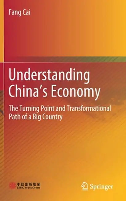 Understanding China's Economy: The Turning Point and Transformational Path of a Big Country by Fang Cai