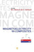Magnetoelectricity in Composites by Mirza Bichurin