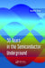 50 Years in the Semiconductor Underground by David K. Ferry