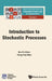 Introduction to Stochastic Processes by Mu-Fa Chen