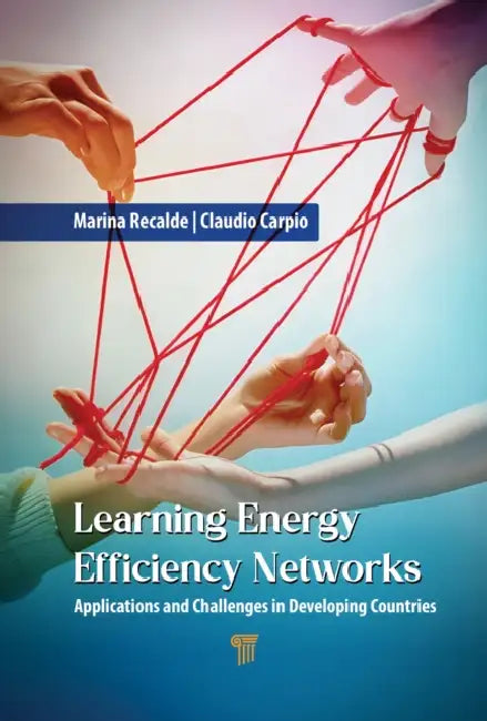 Learning Energy Efficiency Networks: Applications and Challenges in Developing Countries by Claudio Carpio, Marina Yesica Recalde