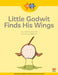 Read + Play: Little Godwit Finds His Wings by Marshall Cavendish