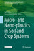 Micro- And Nano-Plastics in Soil and Crop Systems by Saif Uddin