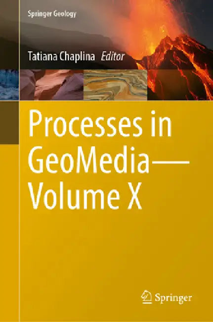 Processes in Geomedia--Volume X by Tatiana Chaplina
