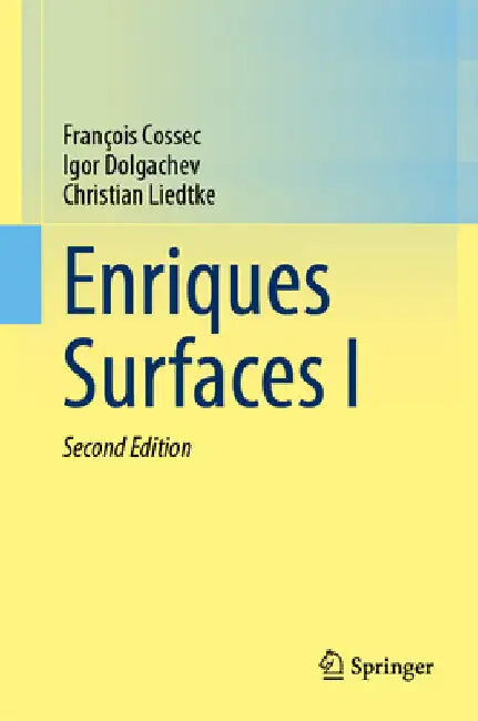 Enriques Surfaces I by François Cossec