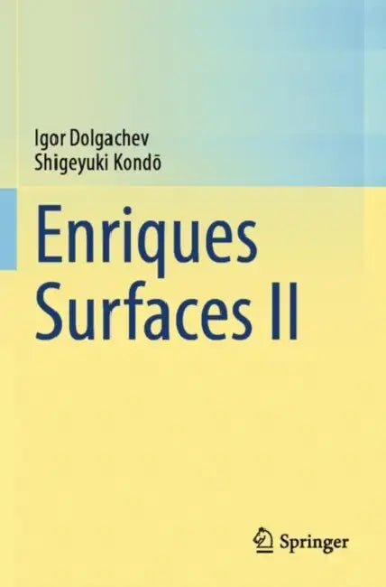 Enriques Surfaces II by Igor Dolgachev