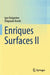 Enriques Surfaces II by Igor Dolgachev