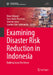Examining Disaster Risk Reduction in Indonesia: Building Social Resilience by Deny Hidayati, Yanu Endar Prasetyo, Jonatan Lassa