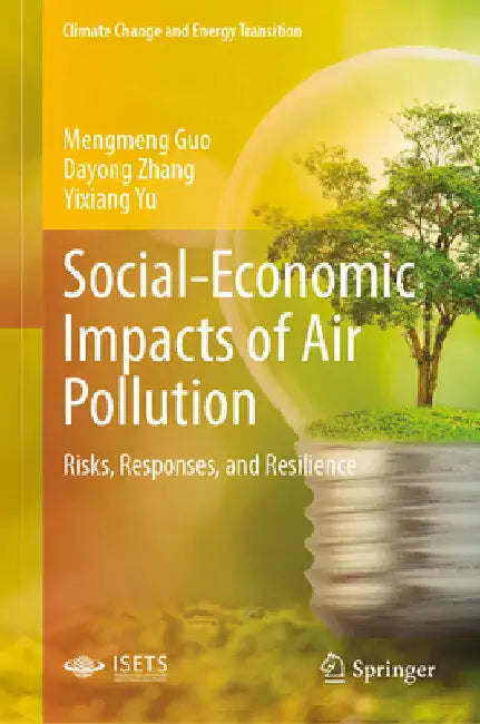 Social-Economic Impacts of Air Pollution: Risks, Responses, and Resilience by Mengmeng Guo