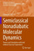 Semiclassical Nonadiabatic Molecular Dynamics