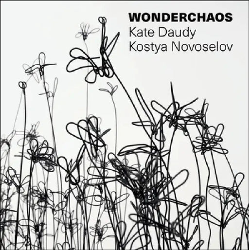 Wonderchaos by Kostya S. Novoselov, Kate Daudy