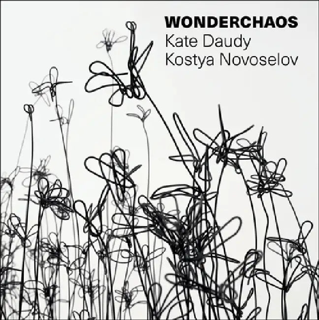Wonderchaos by Kostya S. Novoselov, Kate Daudy