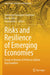 Risks and Resilience of Emerging Economies: Essays in Honour of Professor Ajitava Raychaudhuri by Tanmoyee Banerjee Chatterjee