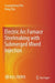 Electric ARC Furnace Steelmaking with Submerged Mixed Injection by Guangsheng Wei