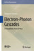 Electron-Photon Cascades: A Probabilistic Point of View by Vladimir V. Uchaikin