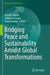 Bridging Peace and Sustainability Amidst Global Transformations by Ayyoob Sharifi