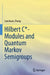 Hilbert C*- Modules and Quantum Markov Semigroups by Lunchuan Zhang