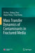 Mass Transfer Dynamics of Contaminants in Fractured Media by Zhi Dou