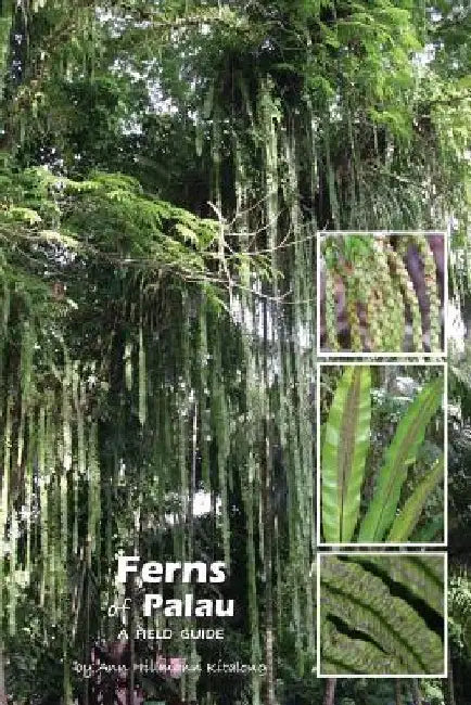 Ferns of Palau: A Field Guide by Ann Hillmann Kitalong
