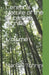 Cerebral Nature of the Subjetive Signifier: Volume I by Mario Augusto Tonnini