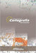 Cartografía Aeronáutica by Conforti, Facundo