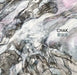 Chak: Landscapes and Other Natural Occurrences by Chung H. Chak