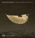 Angels from Infinity: The Sculptures of CHI Wing Lo by Chi Wing Lo