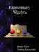 Elementary Algebra by Wade Ellis, Denny Burzynski