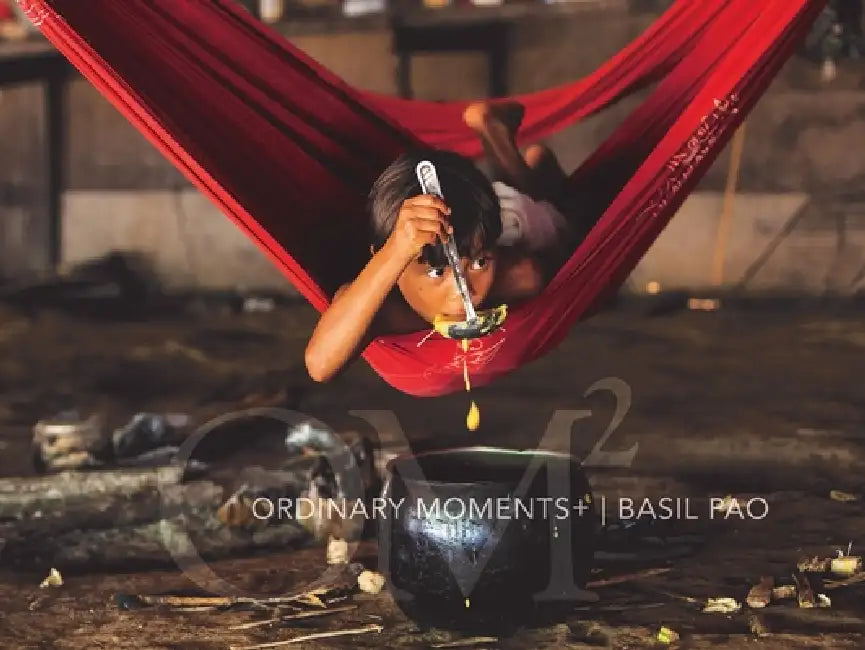 Ordinary Moments + by Basil Pao, Michael Palin