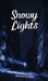 Snowy Lights by Sebastian Sarapuu
