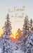 The Forest in Frost by Lan Donne