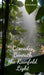 Cascades Beneath the Rainfold Light by Liisi Lendorav