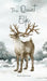The Quiet Elk by Kaido Väinamäe