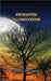 Enchanted Illuminations by Portlander, Clement