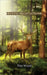 Mystic Meditations by Wood, Tim