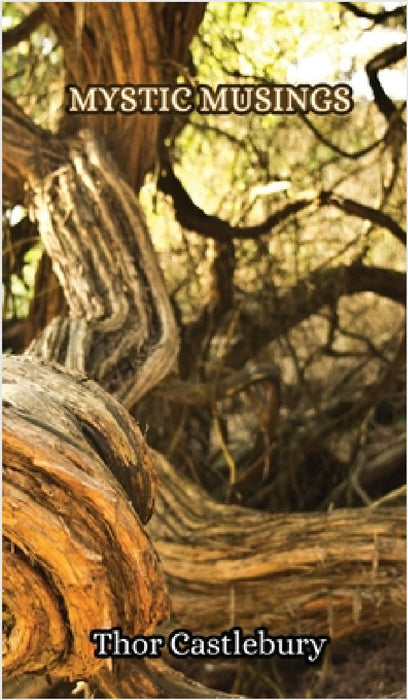 Mystic Musings by Thor Castlebury