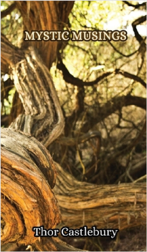 Mystic Musings by Thor Castlebury